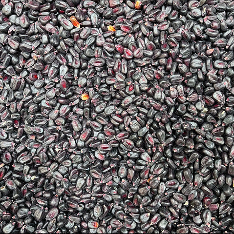 Blue Corn