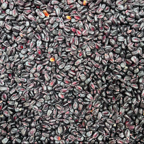 Purple Corn