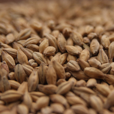 Simpsons Golden Promise Pale Malt
