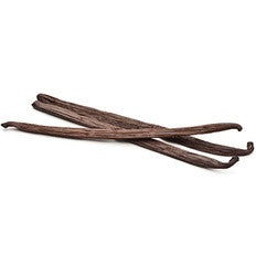 Vanilla Bean - Pack of 3