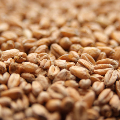 Weyermann® Oak Smoked Wheat