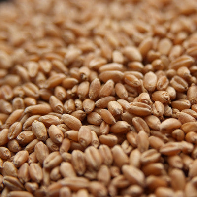 Rahr Unmalted Wheat